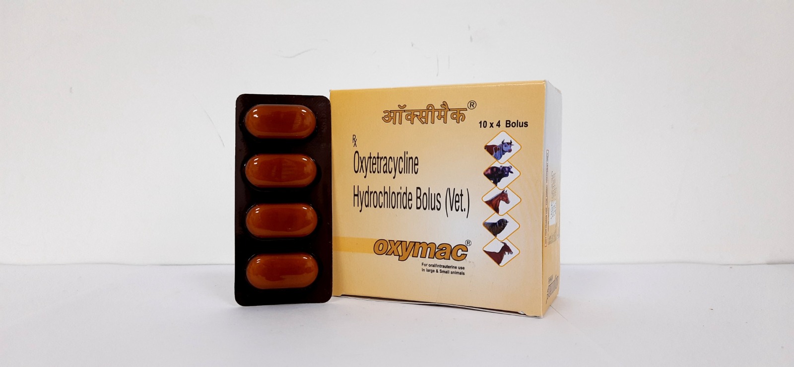 Oxymac Bolus/Powder